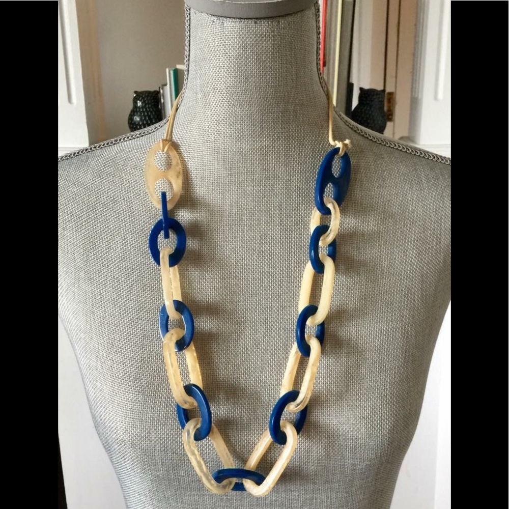 Francesca’s Collection Long Statement Necklace